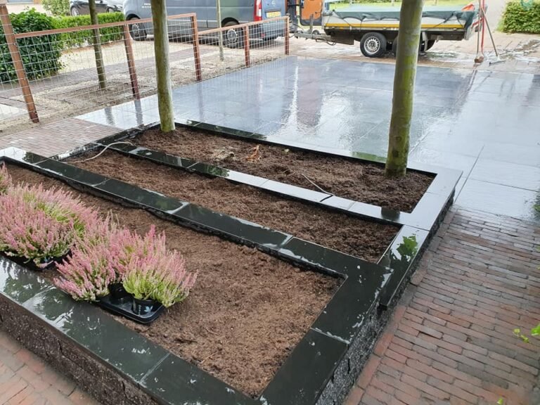 67779850_3015157485178068_893614993004560384_n