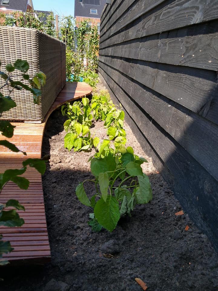 67811529_3015160981844385_2009392039887634432_n