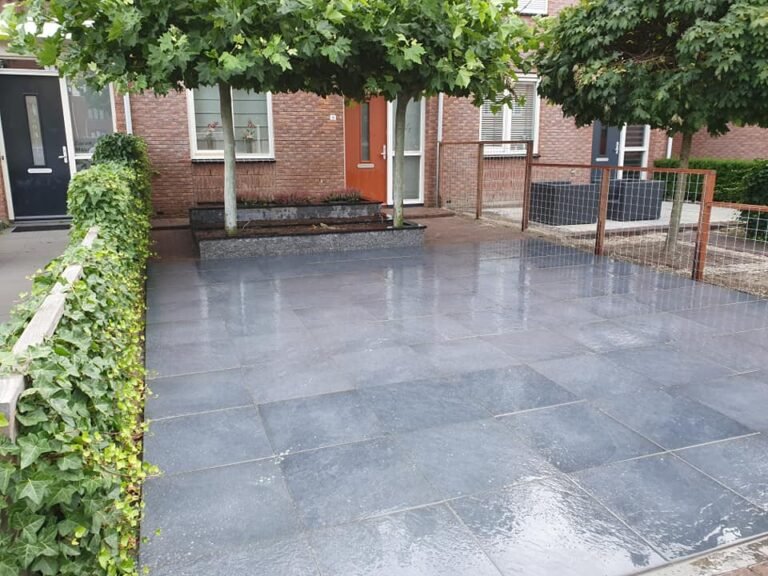 68740853_3015157535178063_7418211898119684096_n