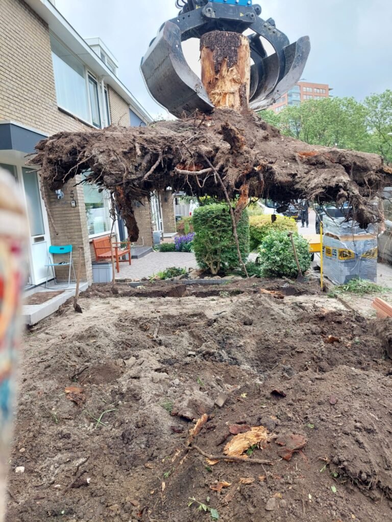 Afbeelding van WhatsApp op 2025-07-19 om 14.45