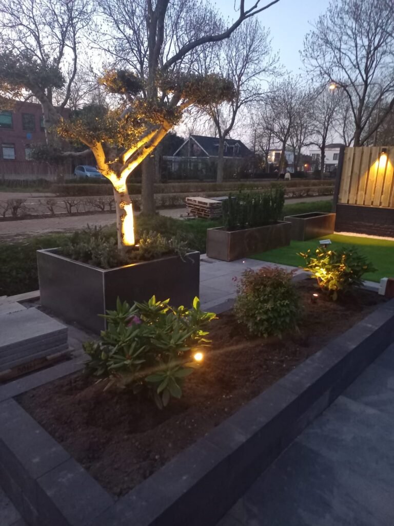 Afbeelding van WhatsApp op 2025-07-19 om 14.45