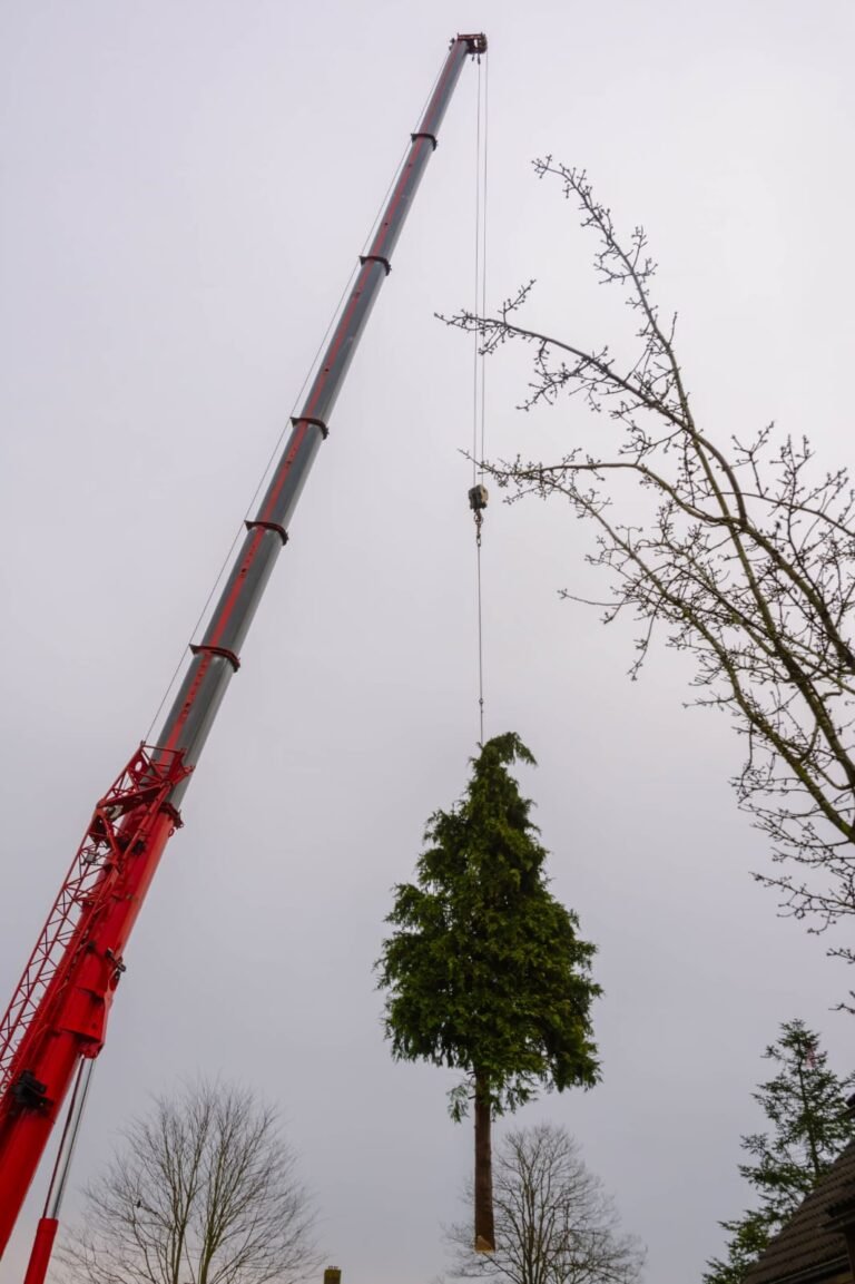 Afbeelding van WhatsApp op 2025-07-19 om 14.45
