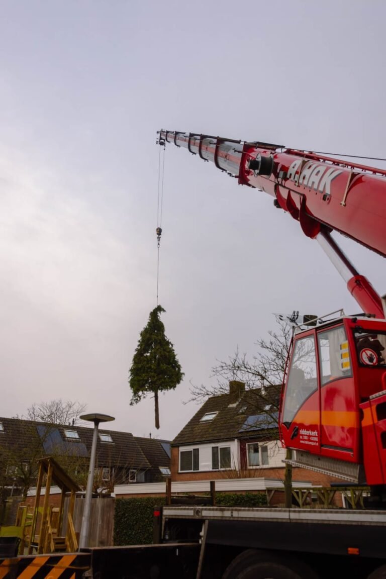 Afbeelding van WhatsApp op 2025-07-19 om 14.45