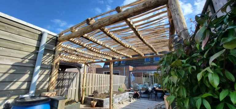 Afbeelding van WhatsApp op 2025-07-19 om 14.45